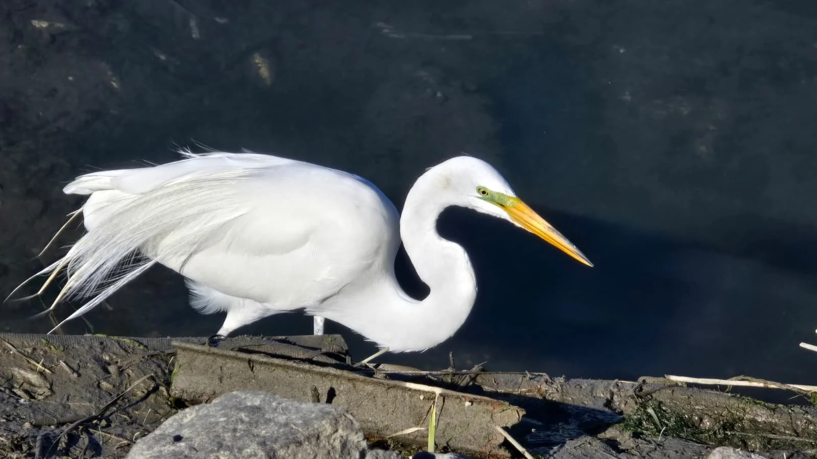 PHOTO-2026-04-11-19-40-37 4.jpg