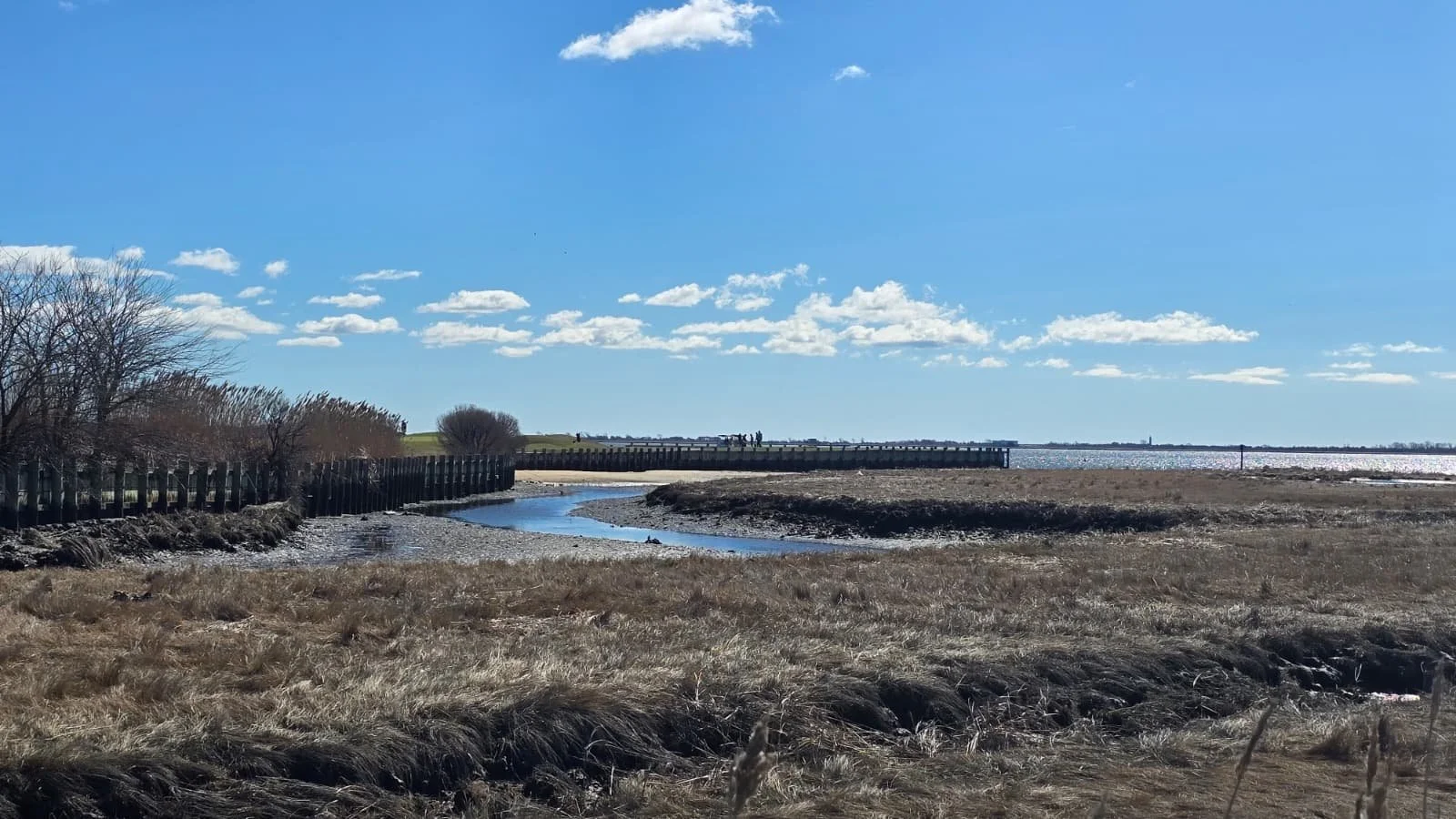 PHOTO-2026-04-11-19-40-37 3.jpg