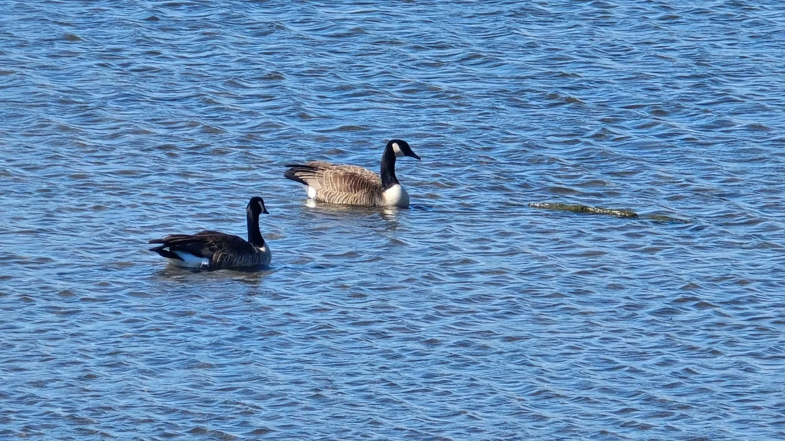 PHOTO-2026-04-11-19-40-37 2.jpg