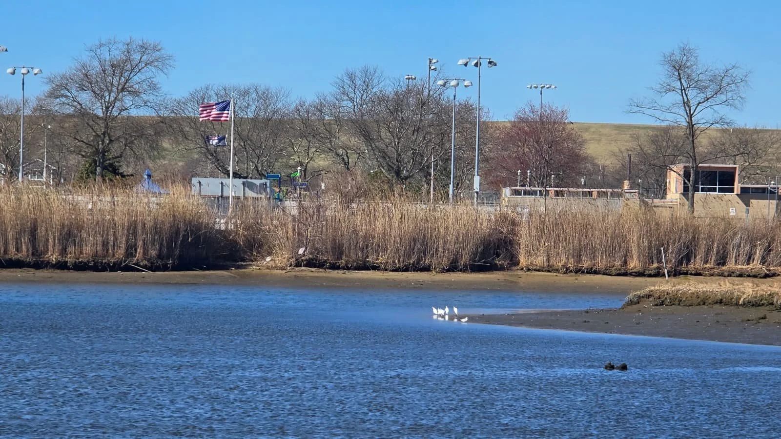 PHOTO-2026-04-11-19-40-36 3.jpg