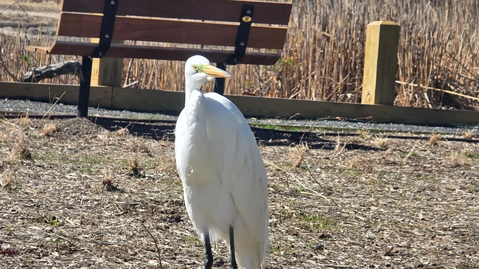 PHOTO-2026-04-11-19-40-36 2.jpg