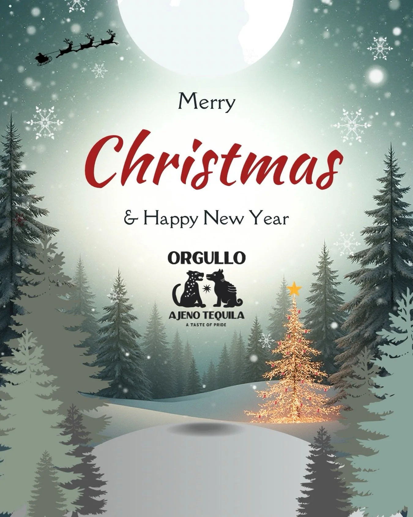 Grateful for community, tradition, and the people who make the season bright. From our chosen family to yours, we wish you a Merry Christmas y Feliz A&ntilde;o Nuevo 🎄✨

#celebratewithpride