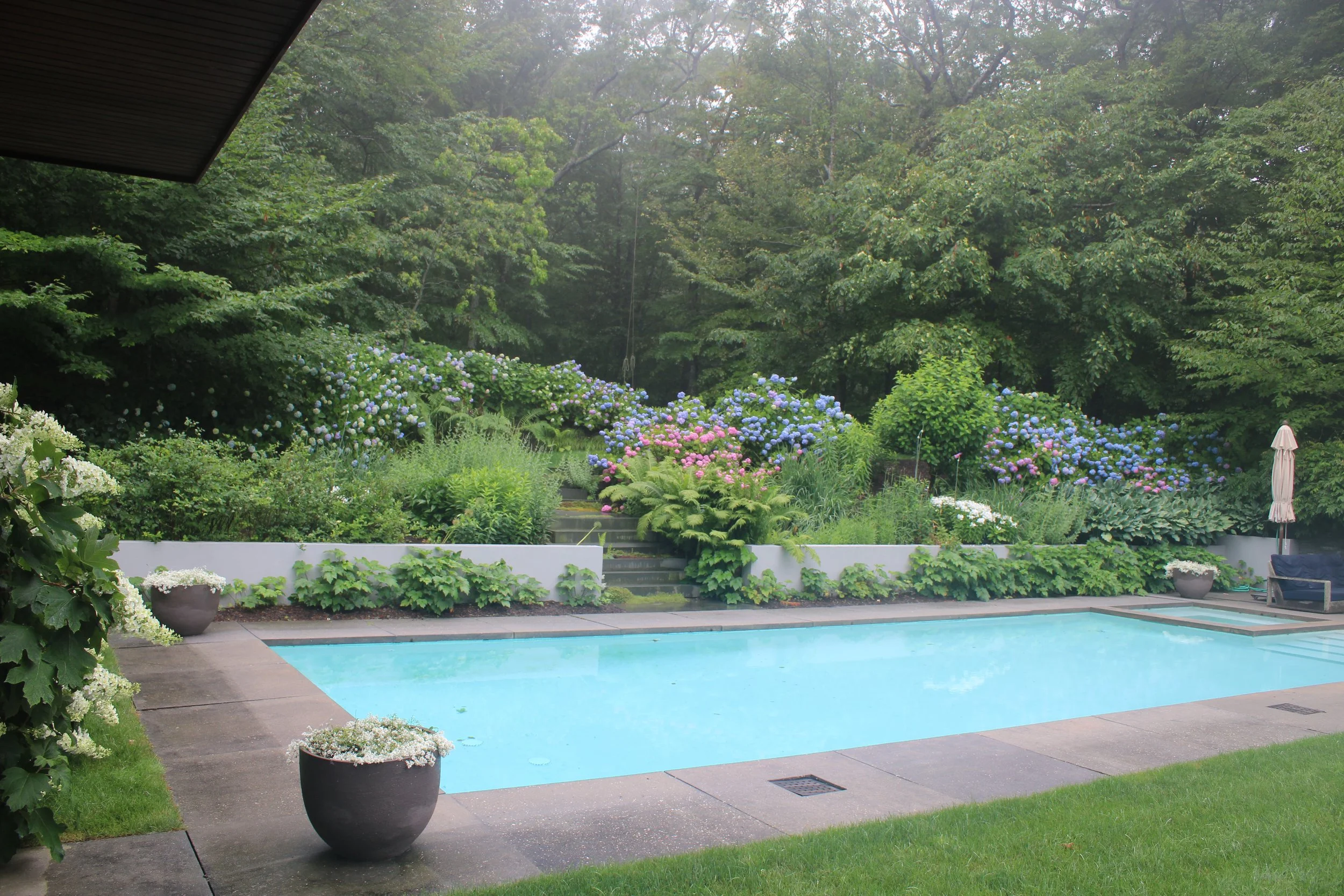 seccia perennial garden.JPG