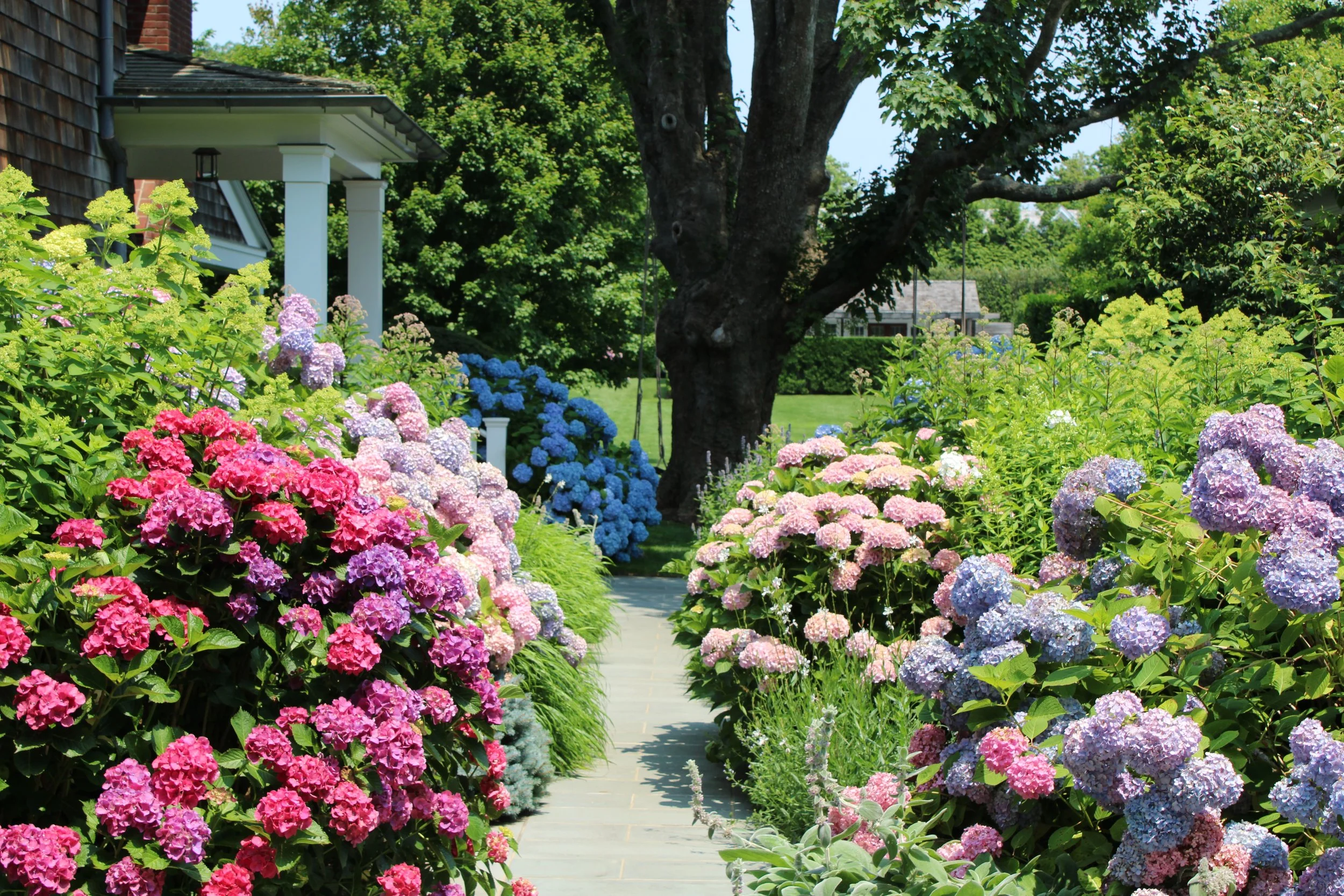 gruss side path 2.JPG