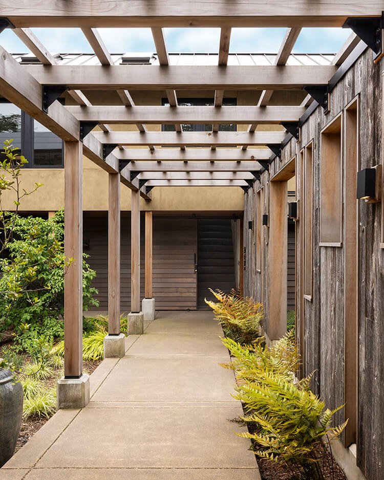Pergola walkway 