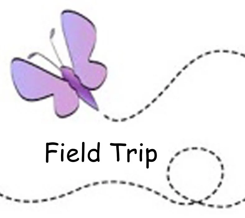 Field Trip: The Lemon Orchard Venue on the Lake