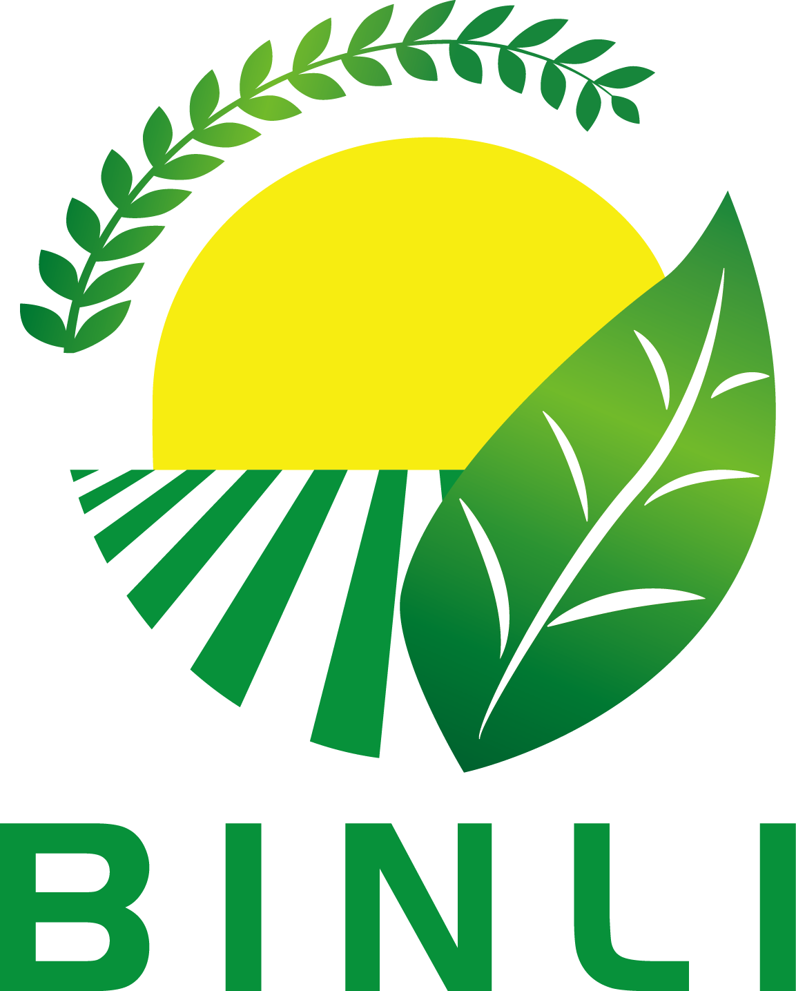 Bin Li&#39;s Food LTD