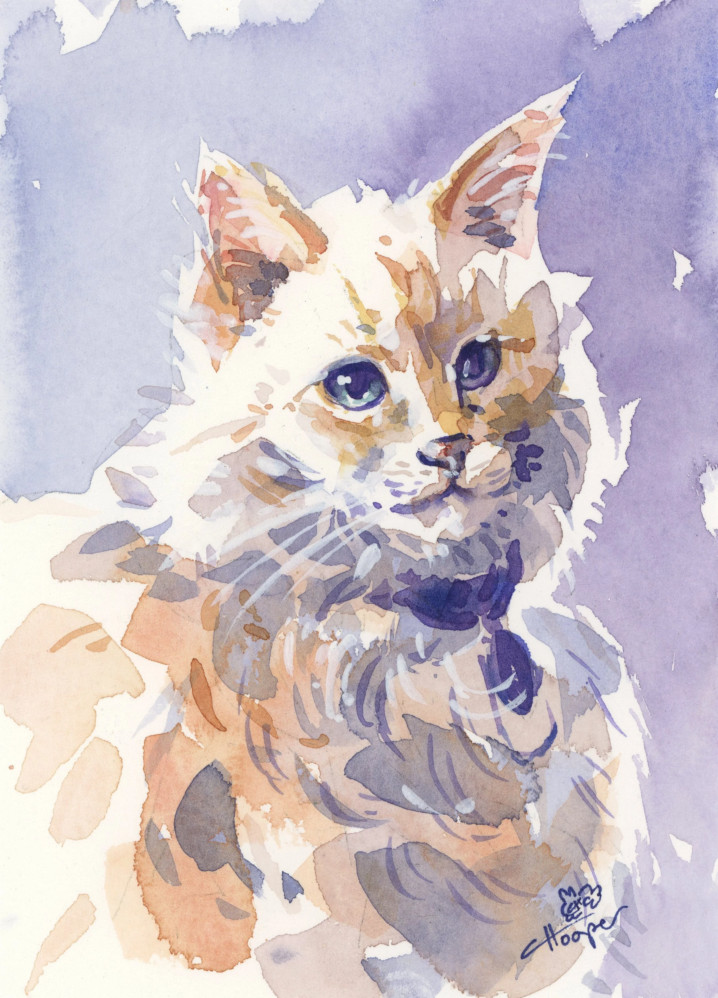 portrait_gmomcat_callistahooper.jpg