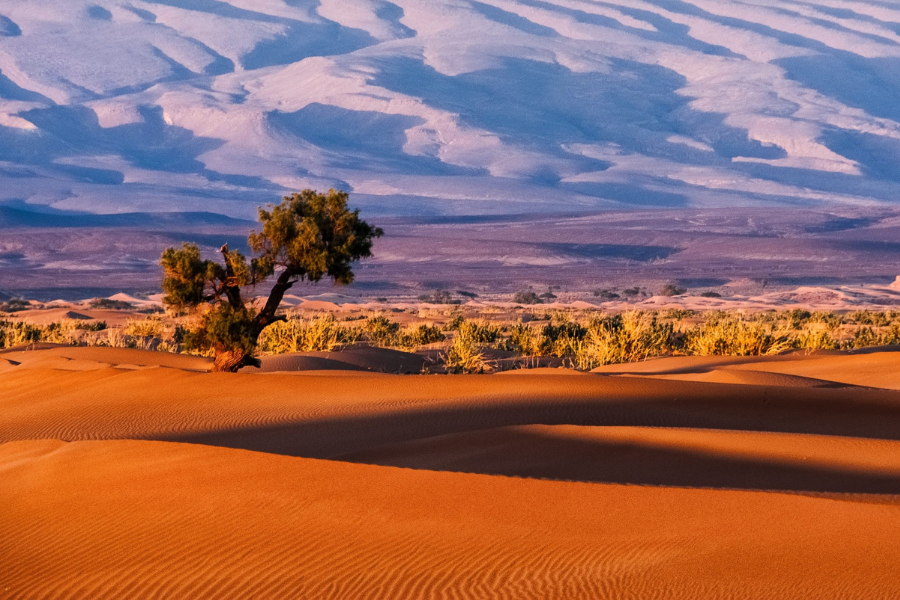 The Erg Chigaga dunes in Morocco
