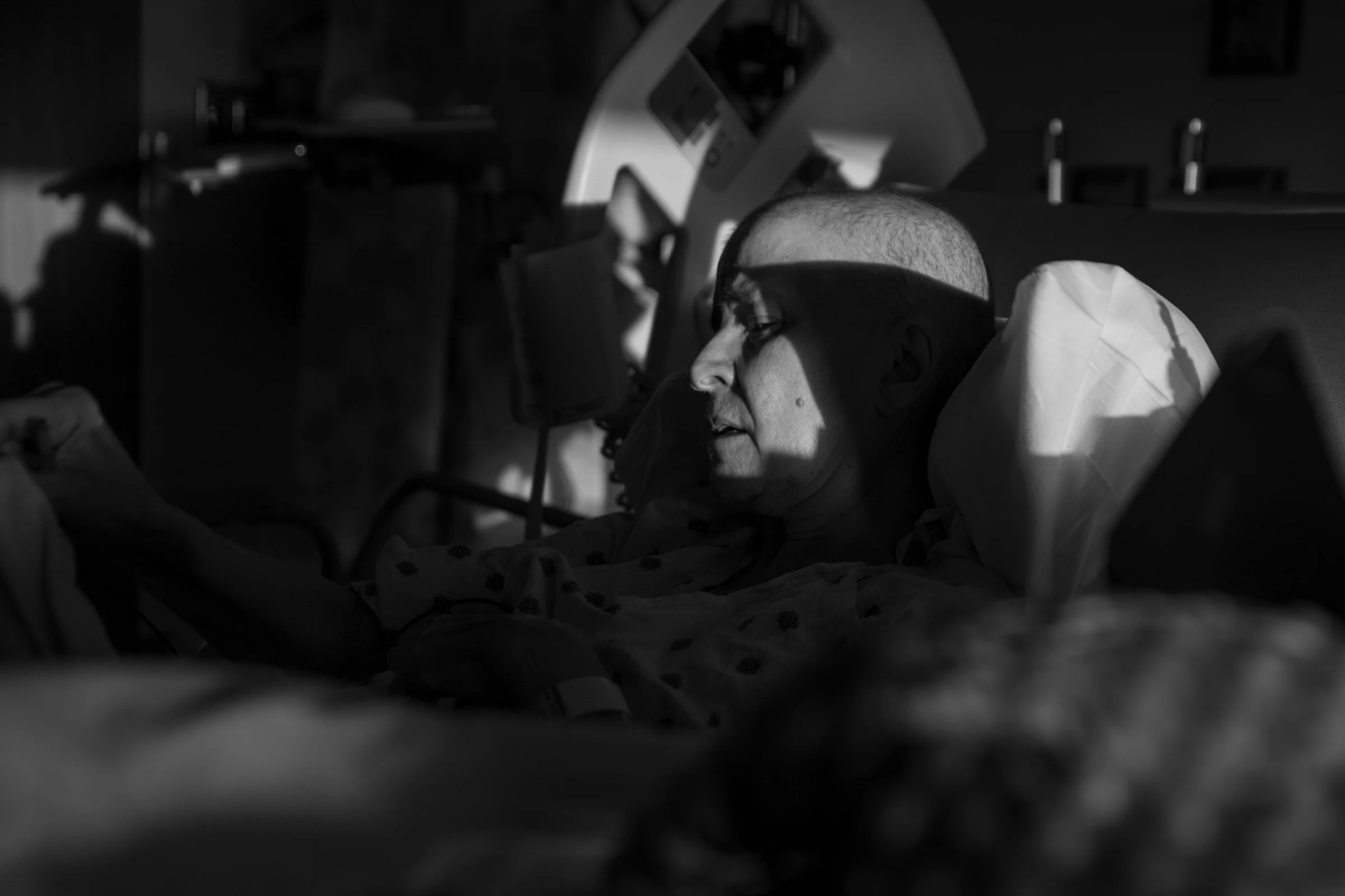 5V8A3786.jpg