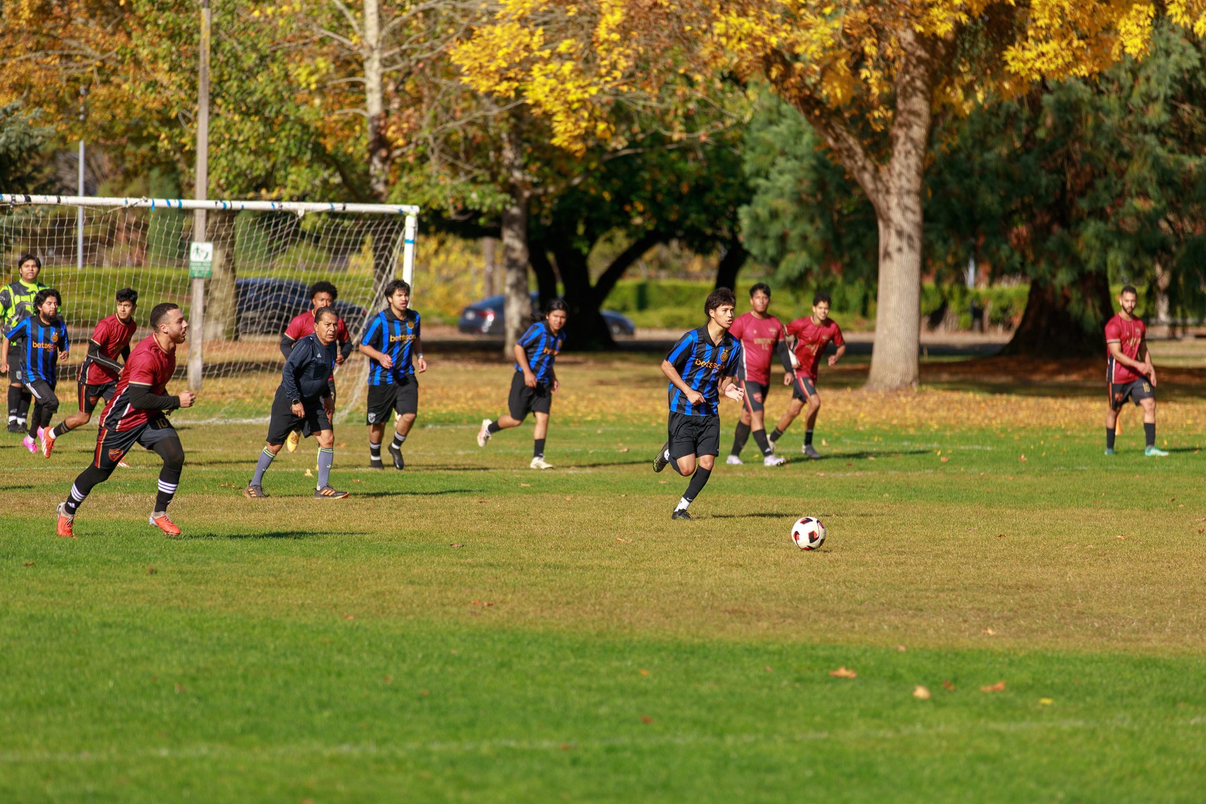 5V8A9104.jpg