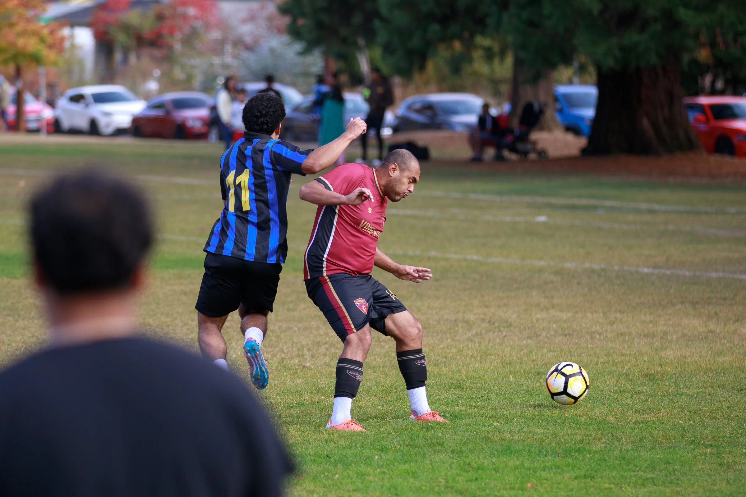 5V8A9032.jpg
