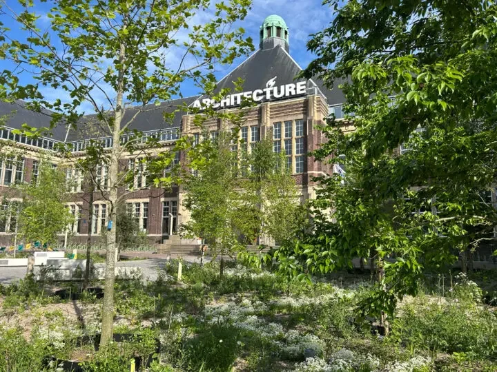 Het stadsklimaatbos nu (foto Rosa de Wolf)