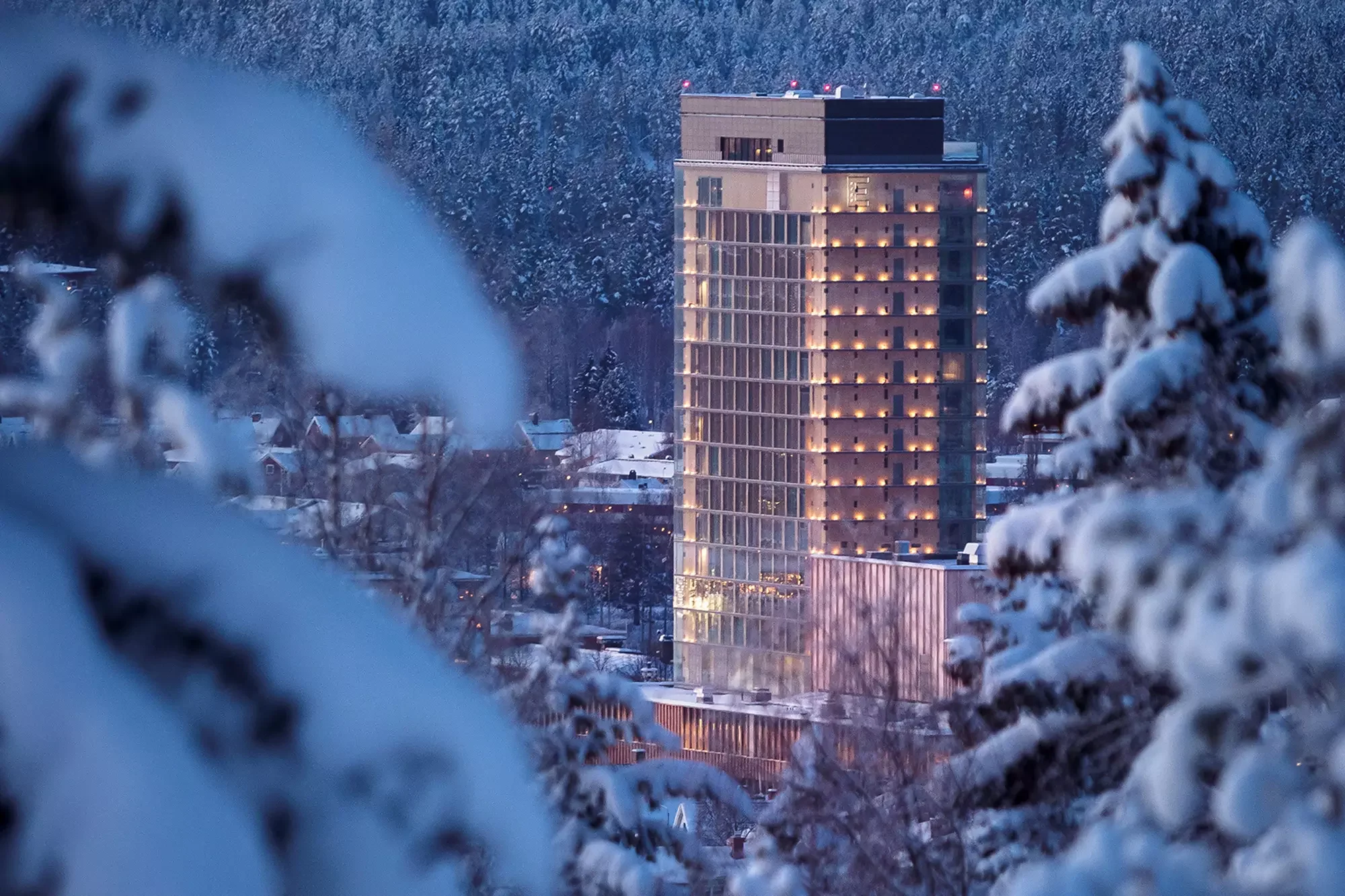 TNN_TheWoodHotel_Skellefteå_Sweden_01__.webp