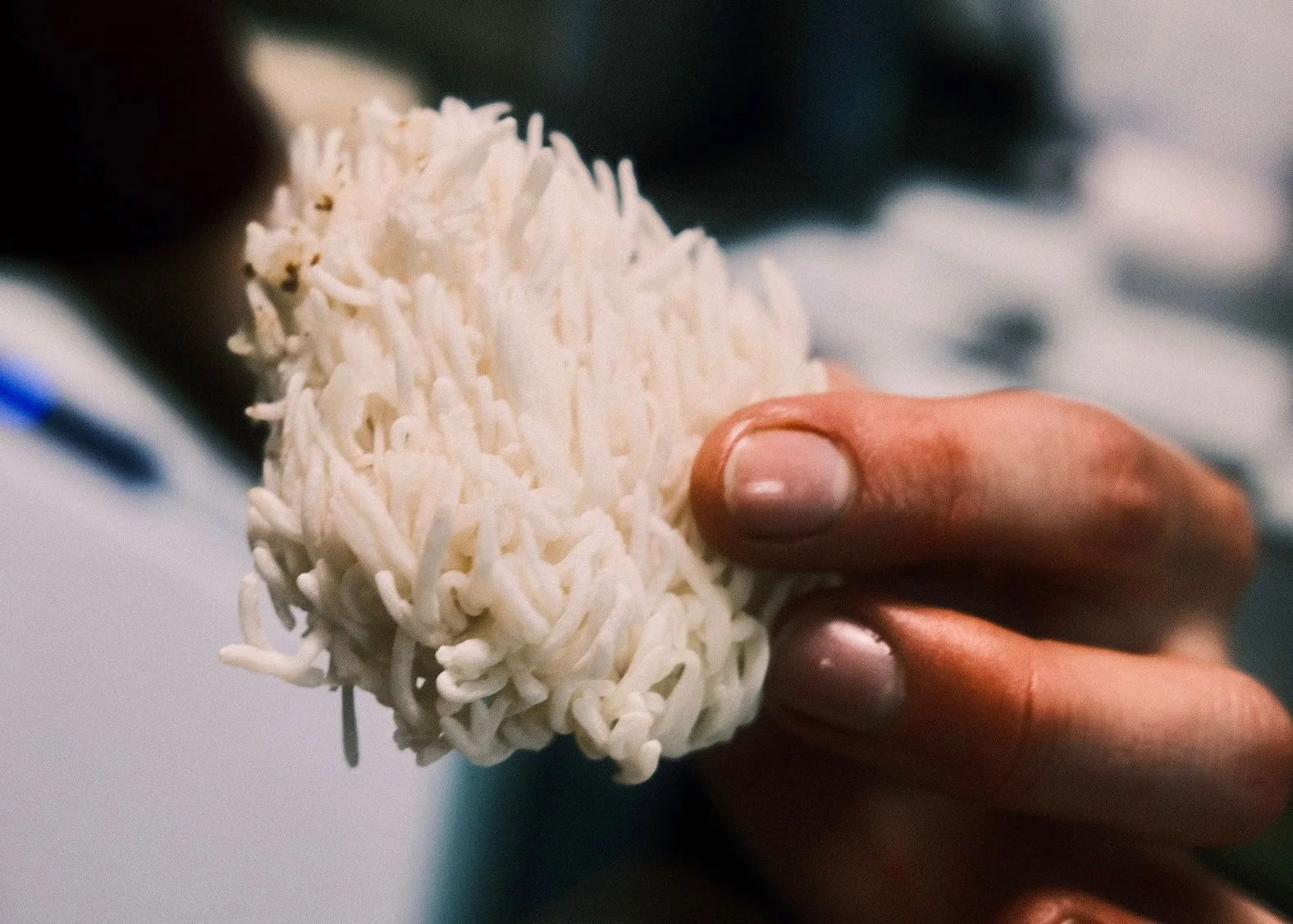 PHOTO-2024-11-06-18-51-45 2.jpg