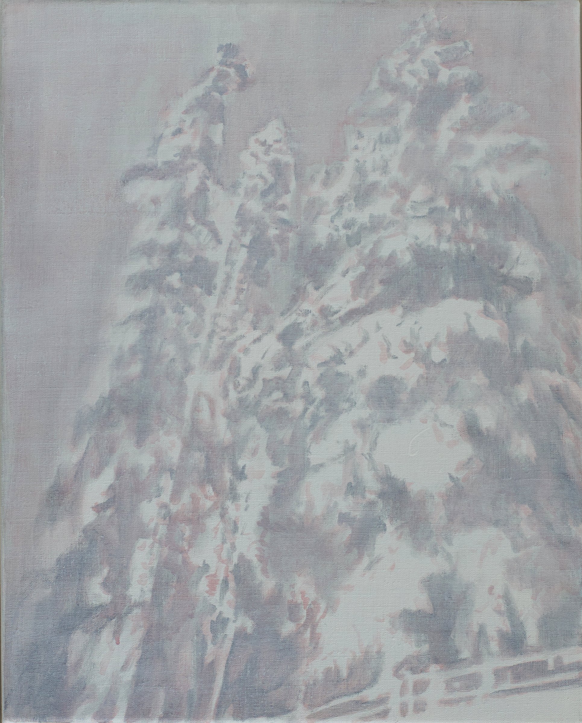 7.BigTrees.jpeg