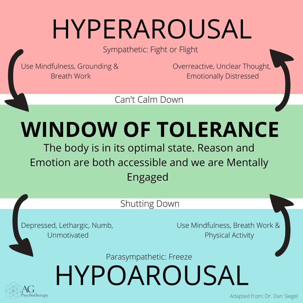 Navigating Life's Challenges: The Window of Tolerance — Perennial Therapy