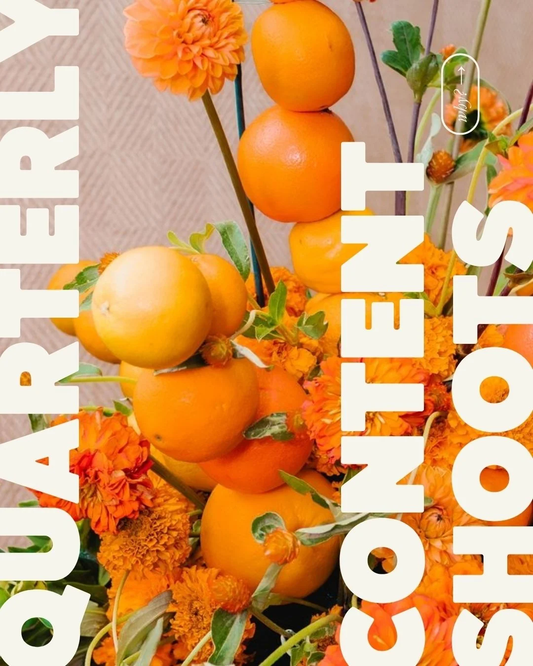 Your content library shouldn't run dry mid-season. That's why we do quarterly content shoots. 🍊

One intentional shoot gives you weeks of high-quality photo and video, built for social, designed for your brand, delivered before you need it. No scram