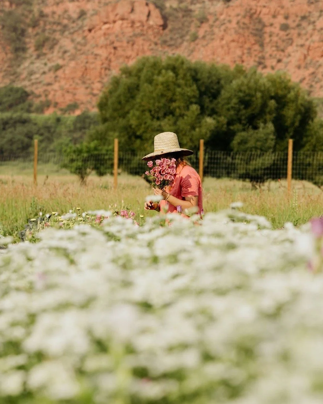 Shoot a flower farm at sunrise? Say no more. We had an amazing time capturing @_juniperfloraldesign @_juniperfarm for @thefarmerandchef last month. 💐

Aspen Marketing Agency | Aspen Photography | Aspen Brand Photography