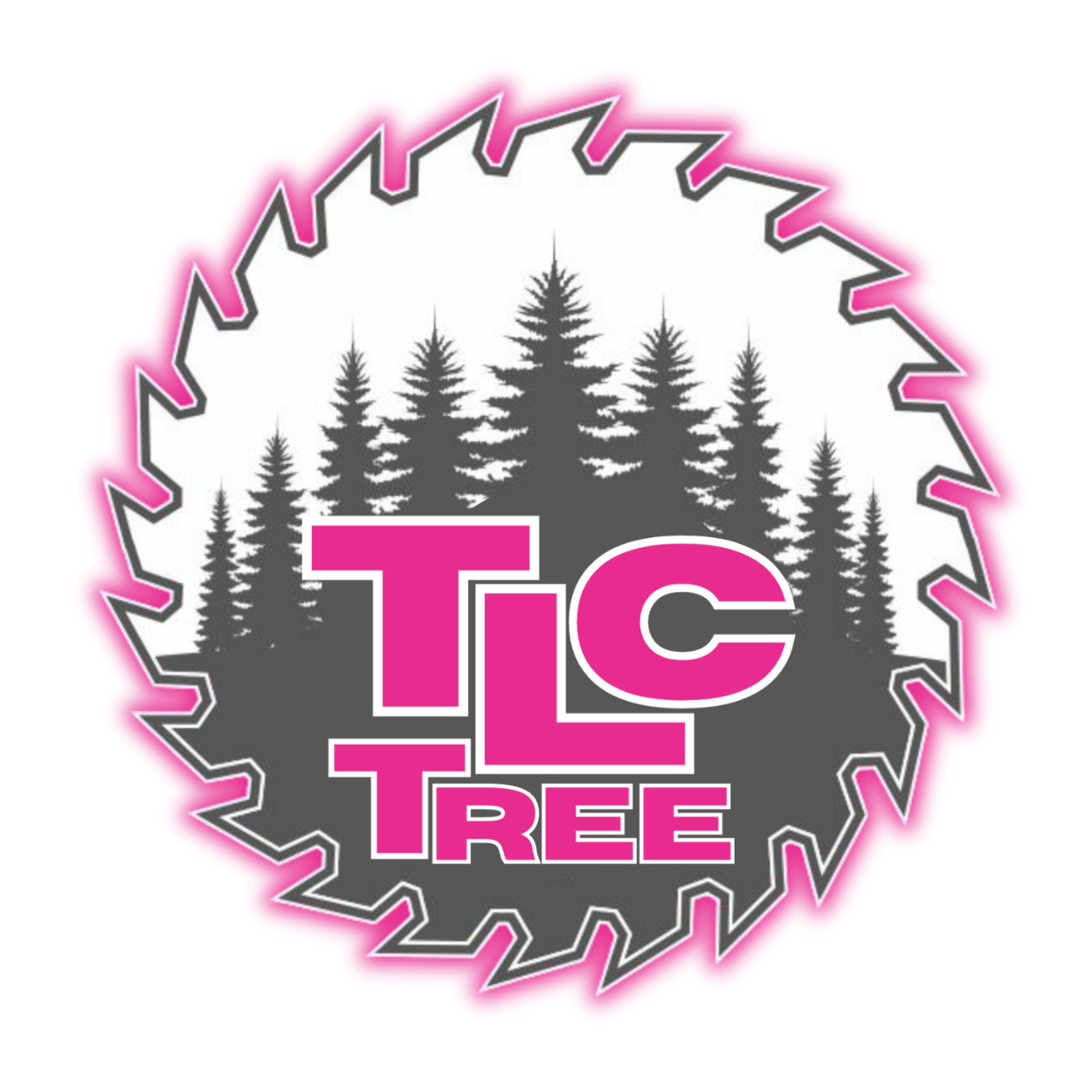 Tree Tlc How We Give the Best Pricing for Tree Projects — TLC TREE
