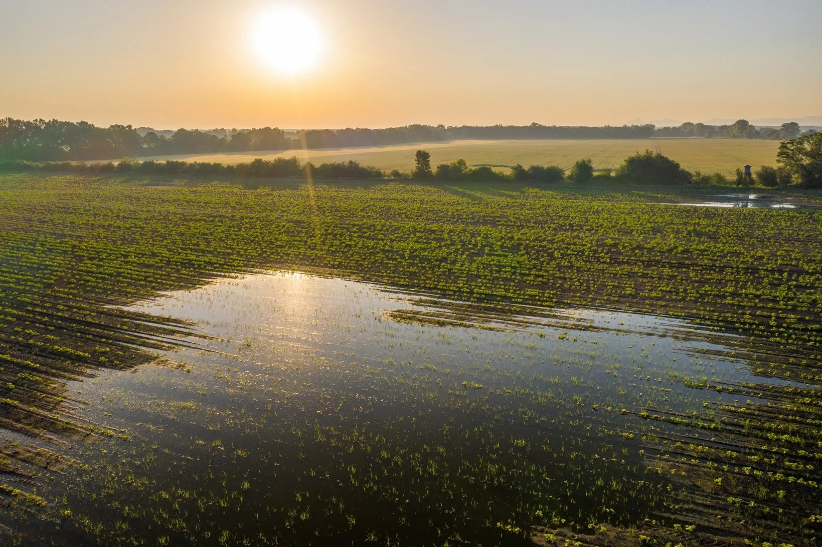 Beat the Wet Weather: Why the Agri Drone is a Game-Changer for Waterlogged Fields
