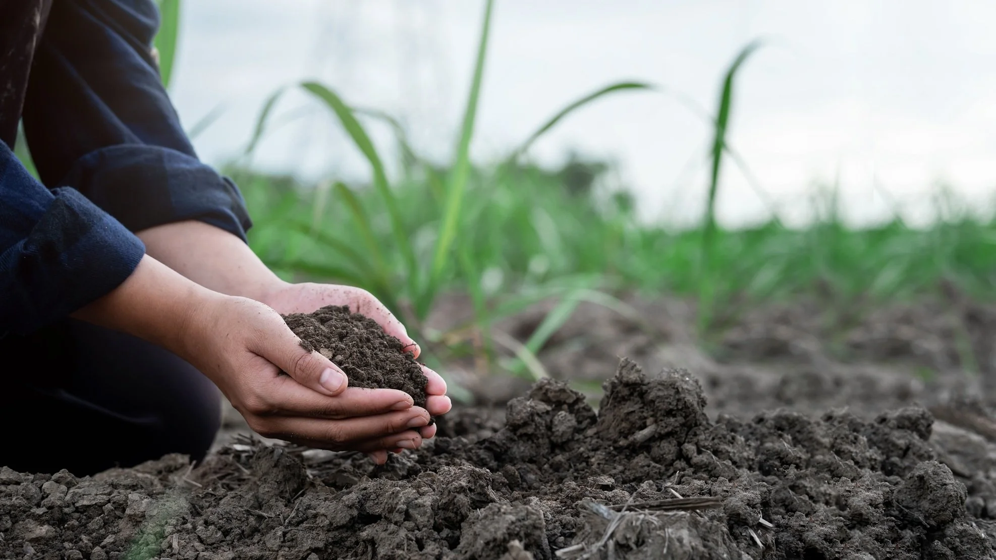 Soil Health 2.0: Preventing Compaction with Aerial Agricultural Drone Solutions