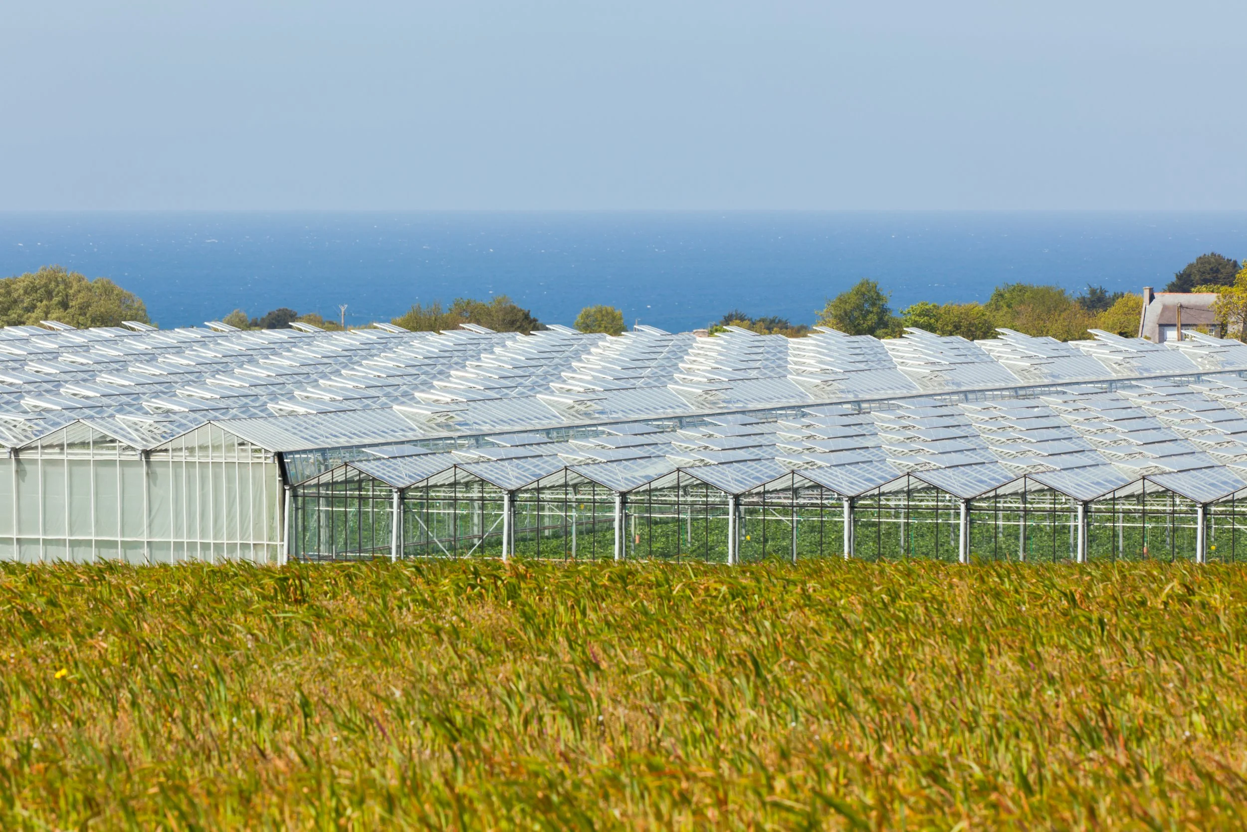 CDA Technology: Why Every Drop Counts in Modern Agricultural Drone Application