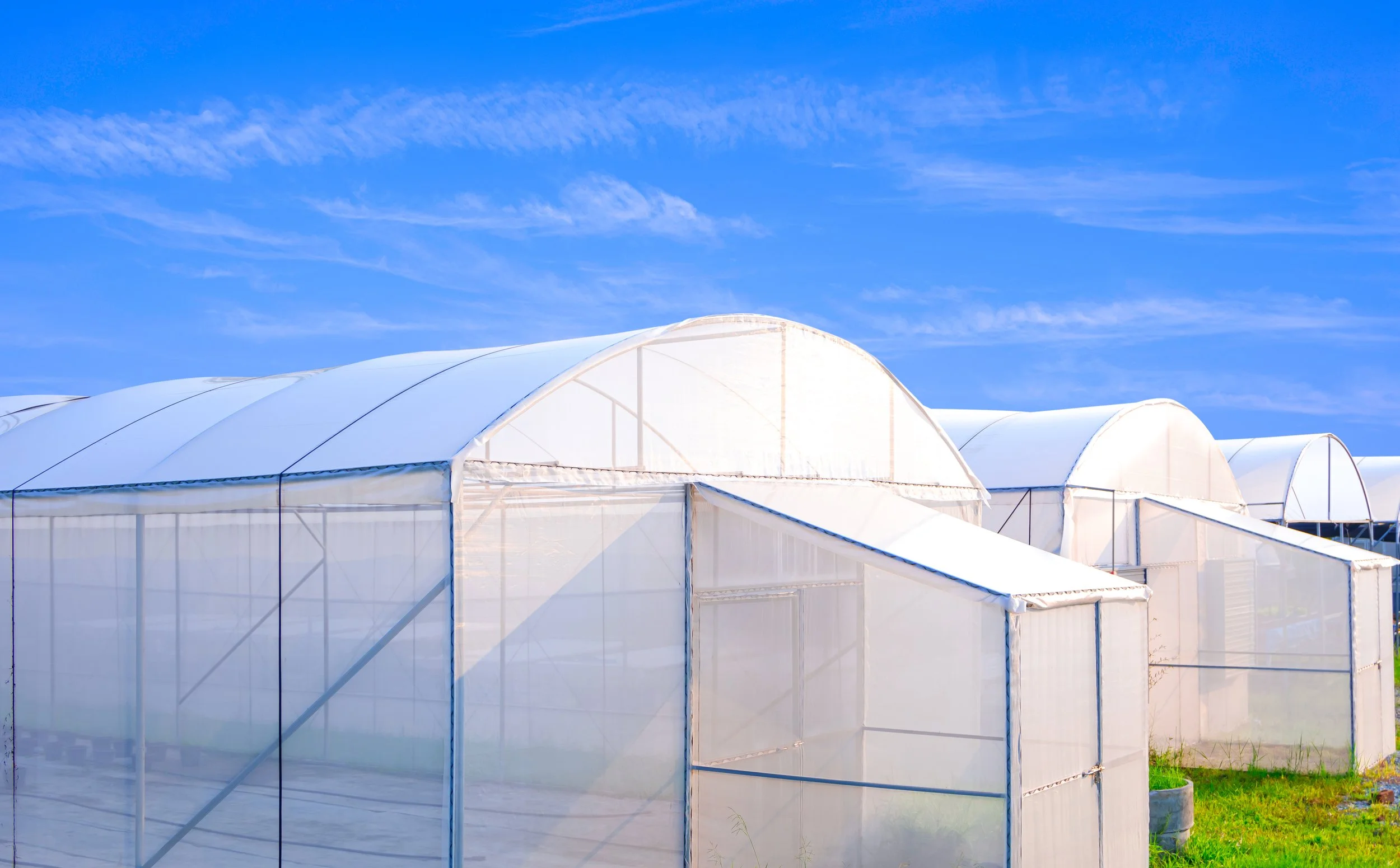 Clear Skies Ahead: Prepping Your Structures for a Successful Spring