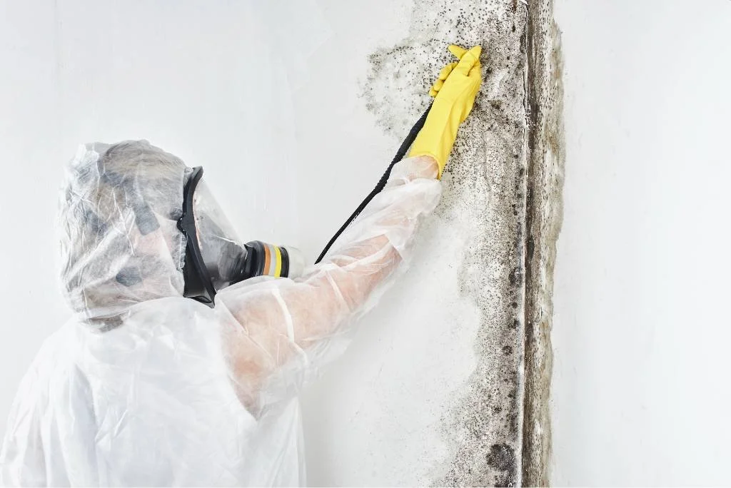 Person in protective gear taking a sample from a wall for mold testing.