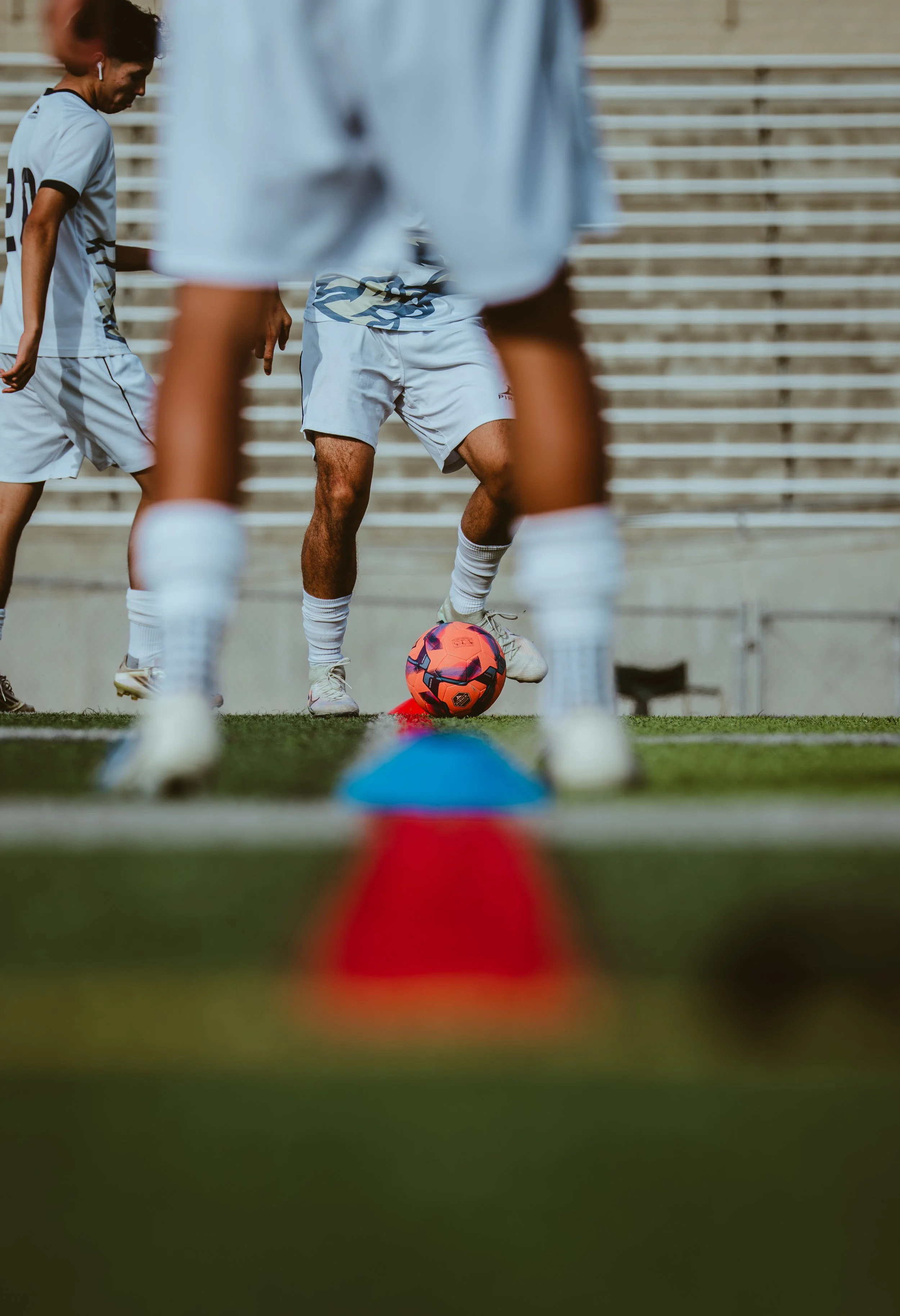 alvarez vs sunnyside ball.jpg