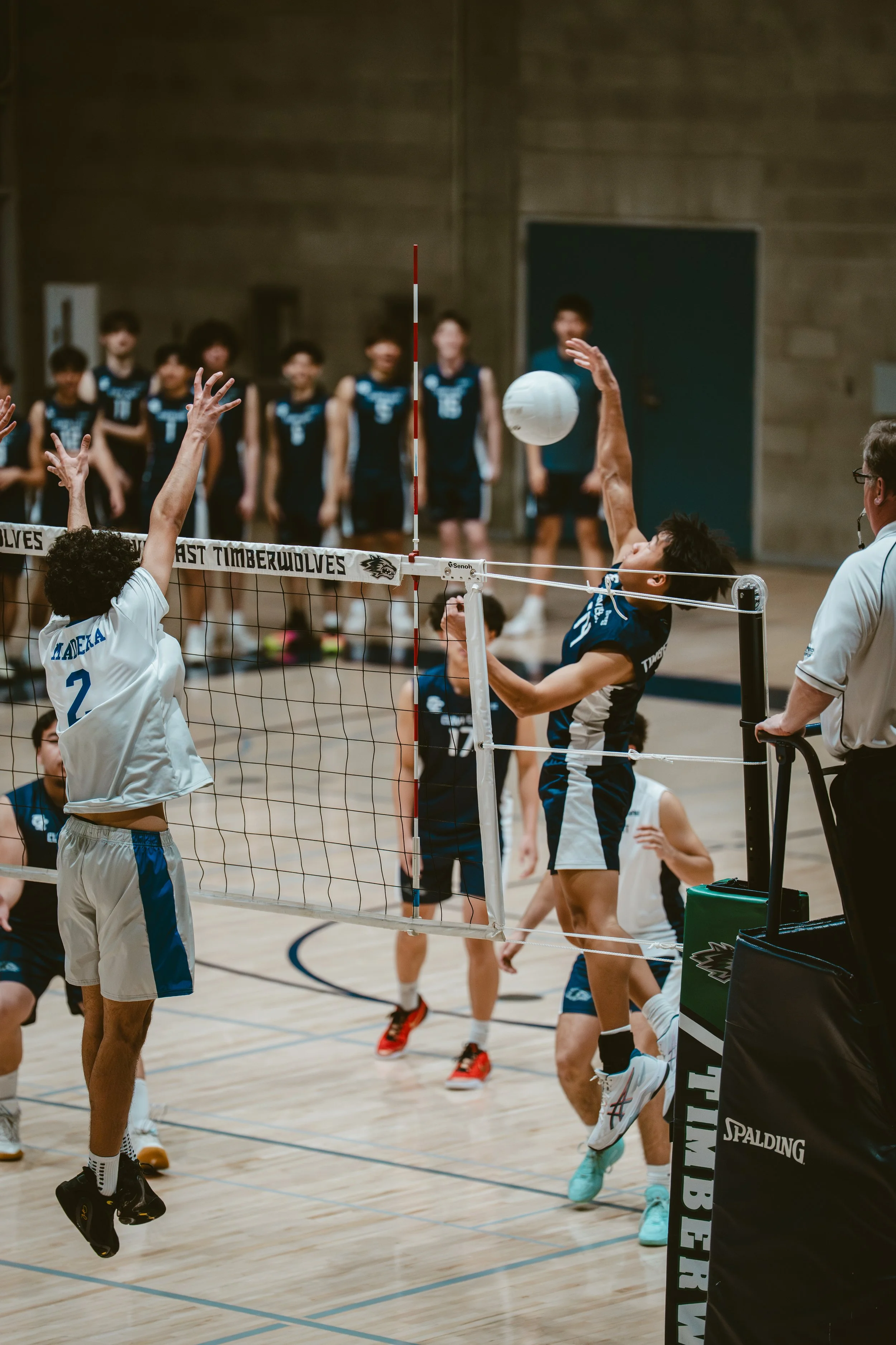 cehs vs madera high cover.jpg