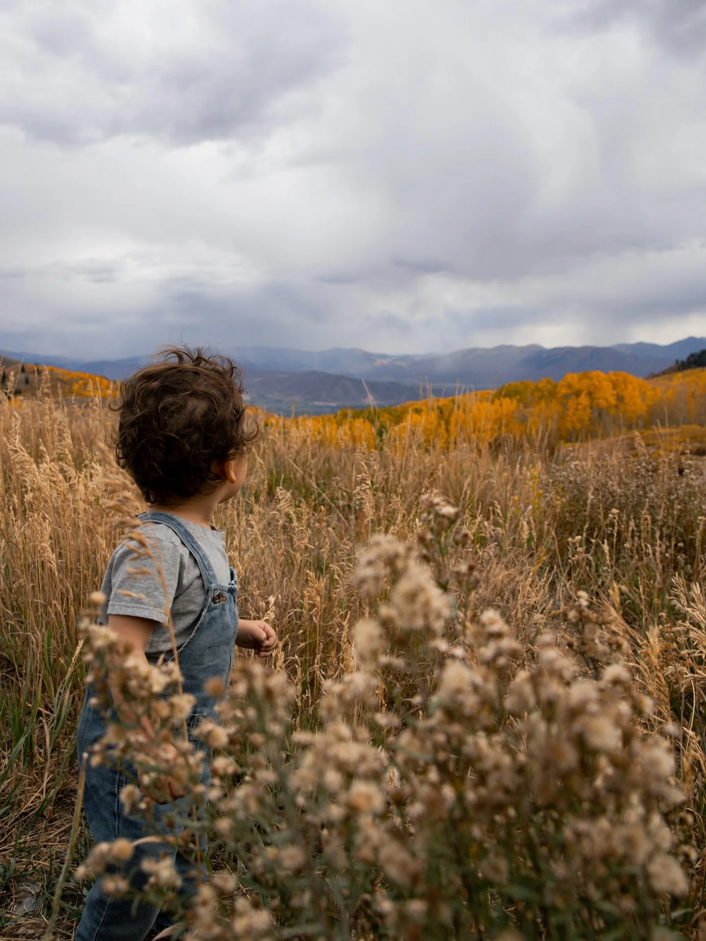 Last picture is as close as you will get to nuggets cute face on my page😂 Still in love with these photos from a couple months ago! I never had the chance to edit them until now but it&rsquo;s the perfect way to celebrate the last of fall&rsquo;s co