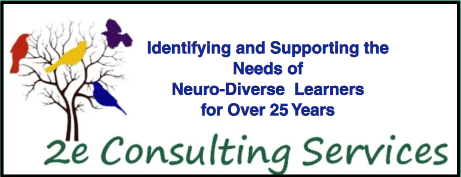 2e Consulting Services