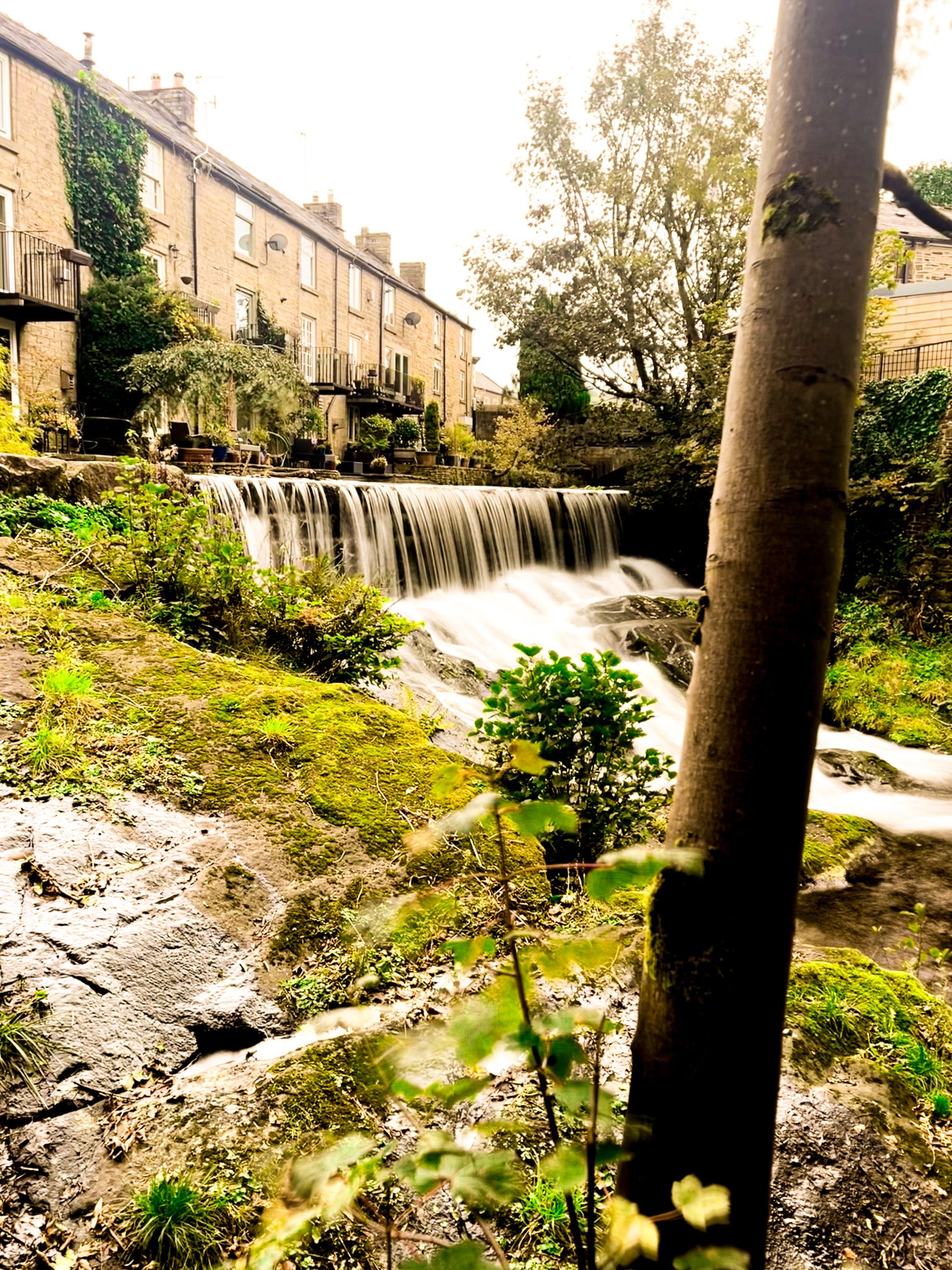 A small waterfall flowing under a row of townhouses, surrounded by greenery and trees, with a tree partially blocking the view in the foreground.