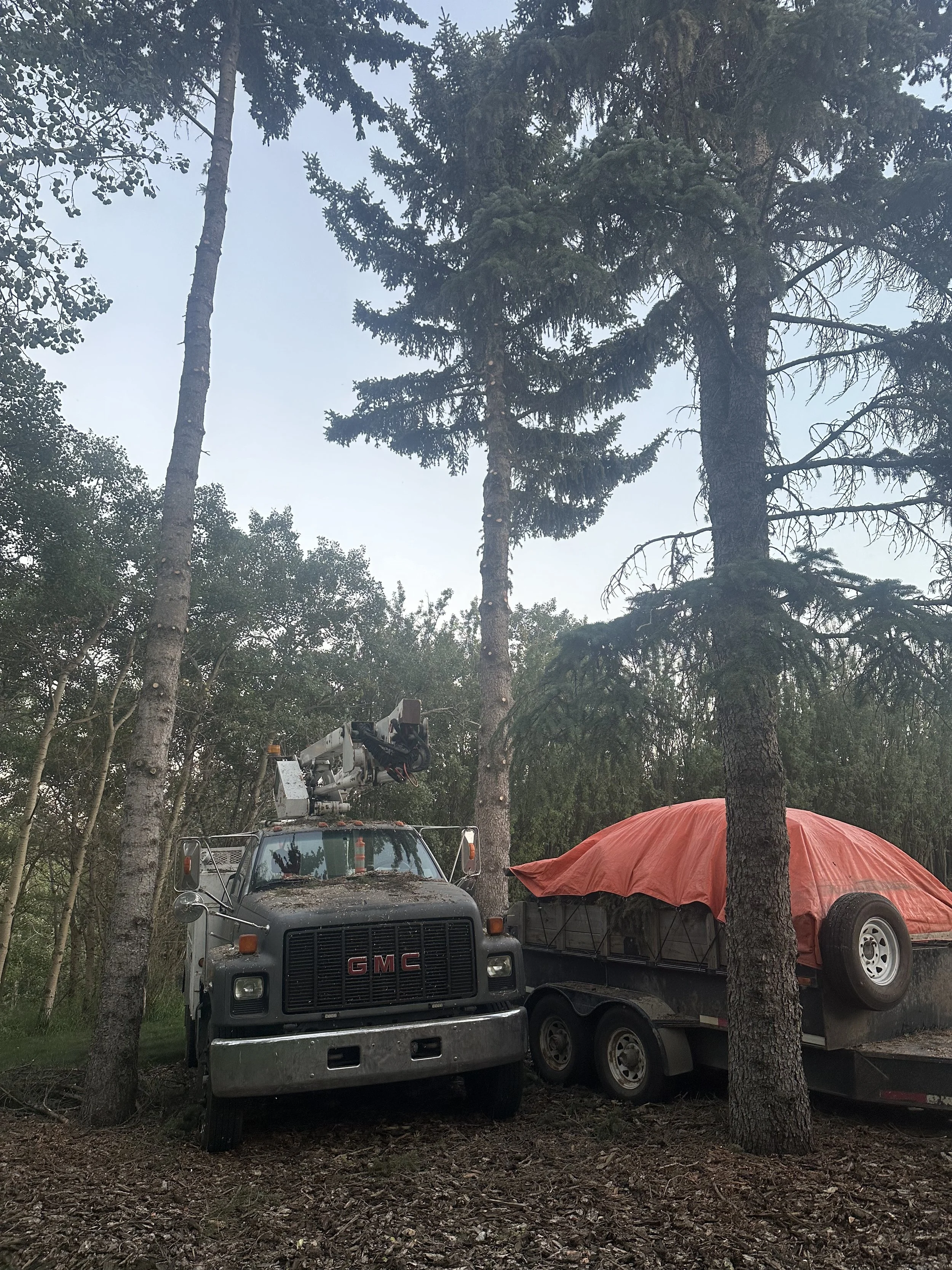 A black GMC truck with a crane on top, parked in a wooded area next to a flatbed trailer loaded with a covered object, surrounded by tall trees.
