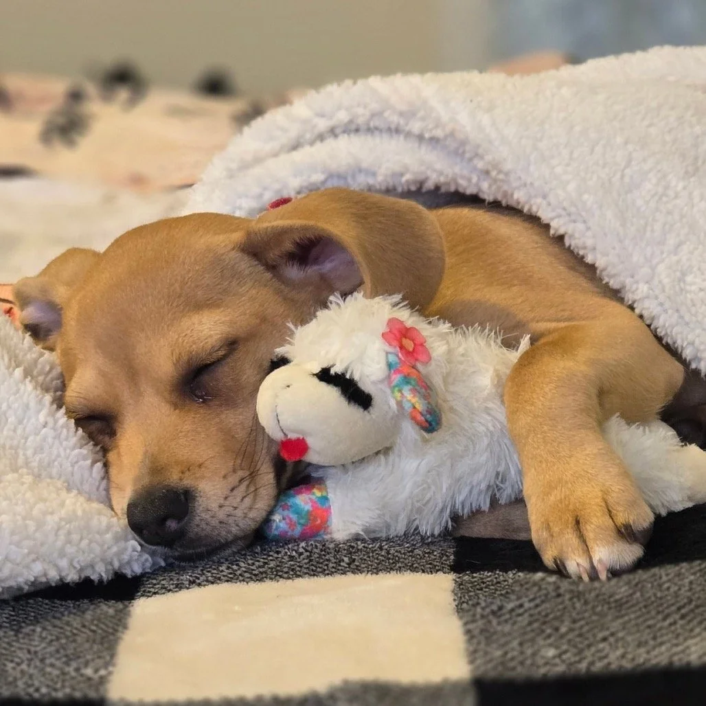 NALA