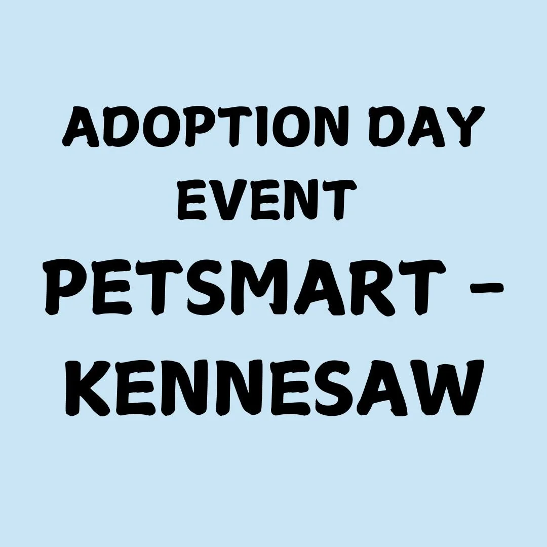 ADOPTION EVENT Petsmart - Kennesaw
