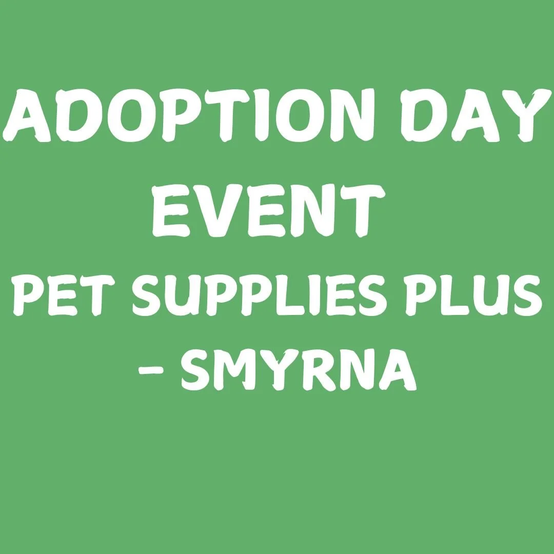 Pet Supplies Plus - Smryna
