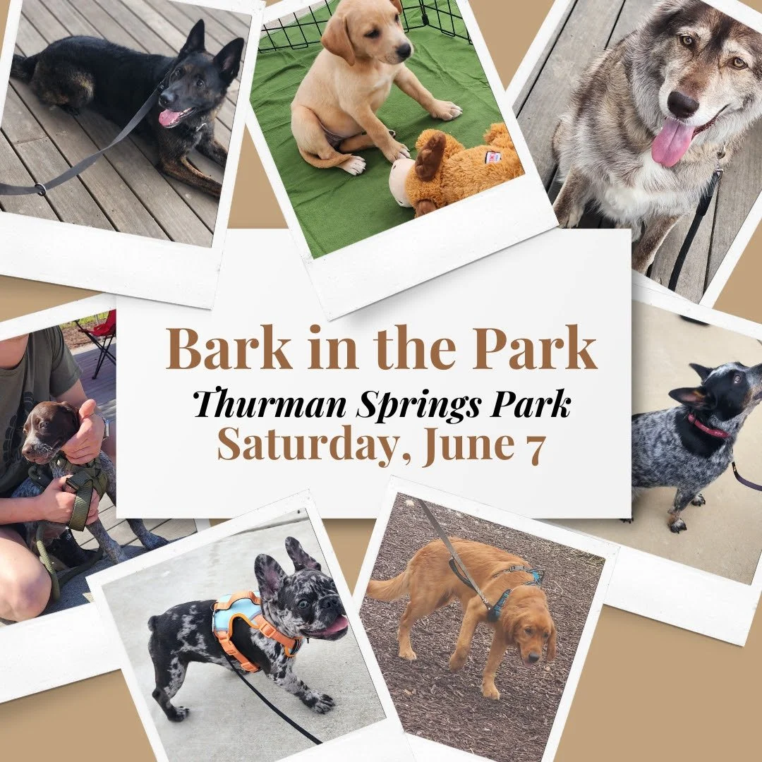 BARK IN THE PARK