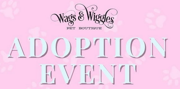 Wags & Wiggles Adoption Event