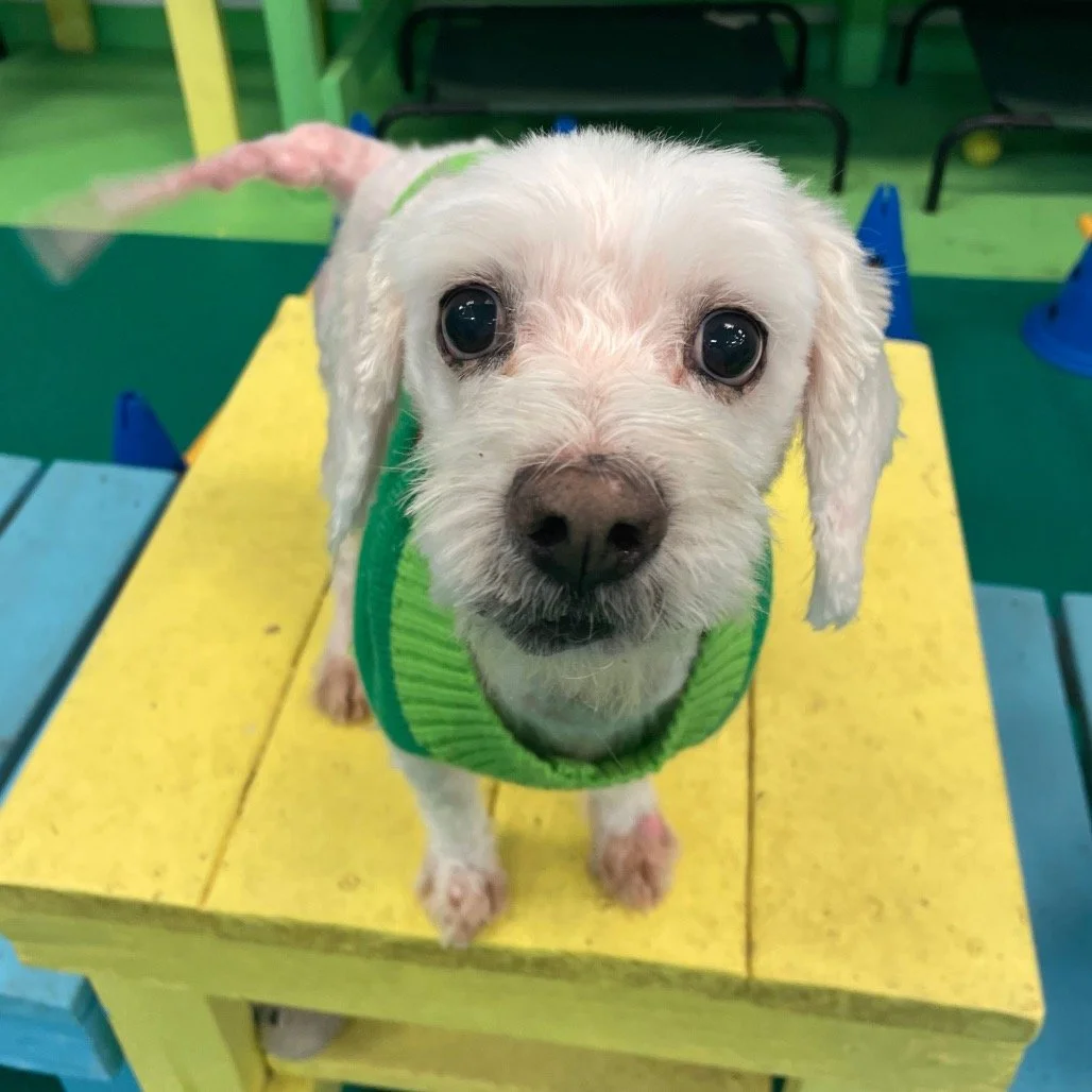 BENNY