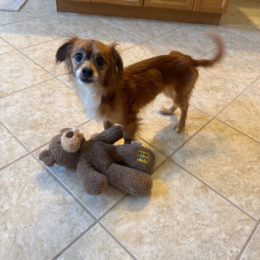 LOUIE