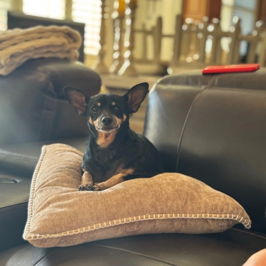 PALOMA