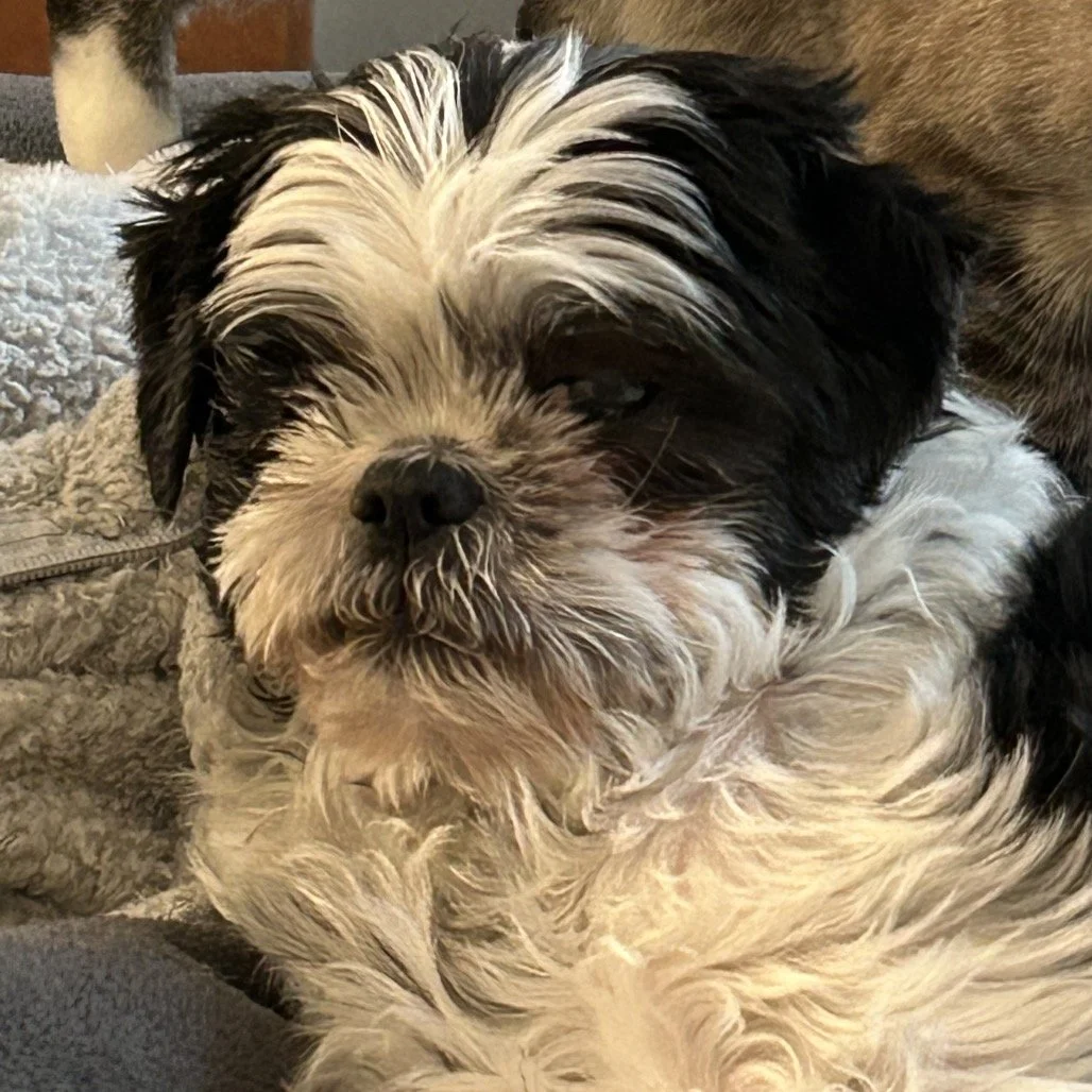 MIA