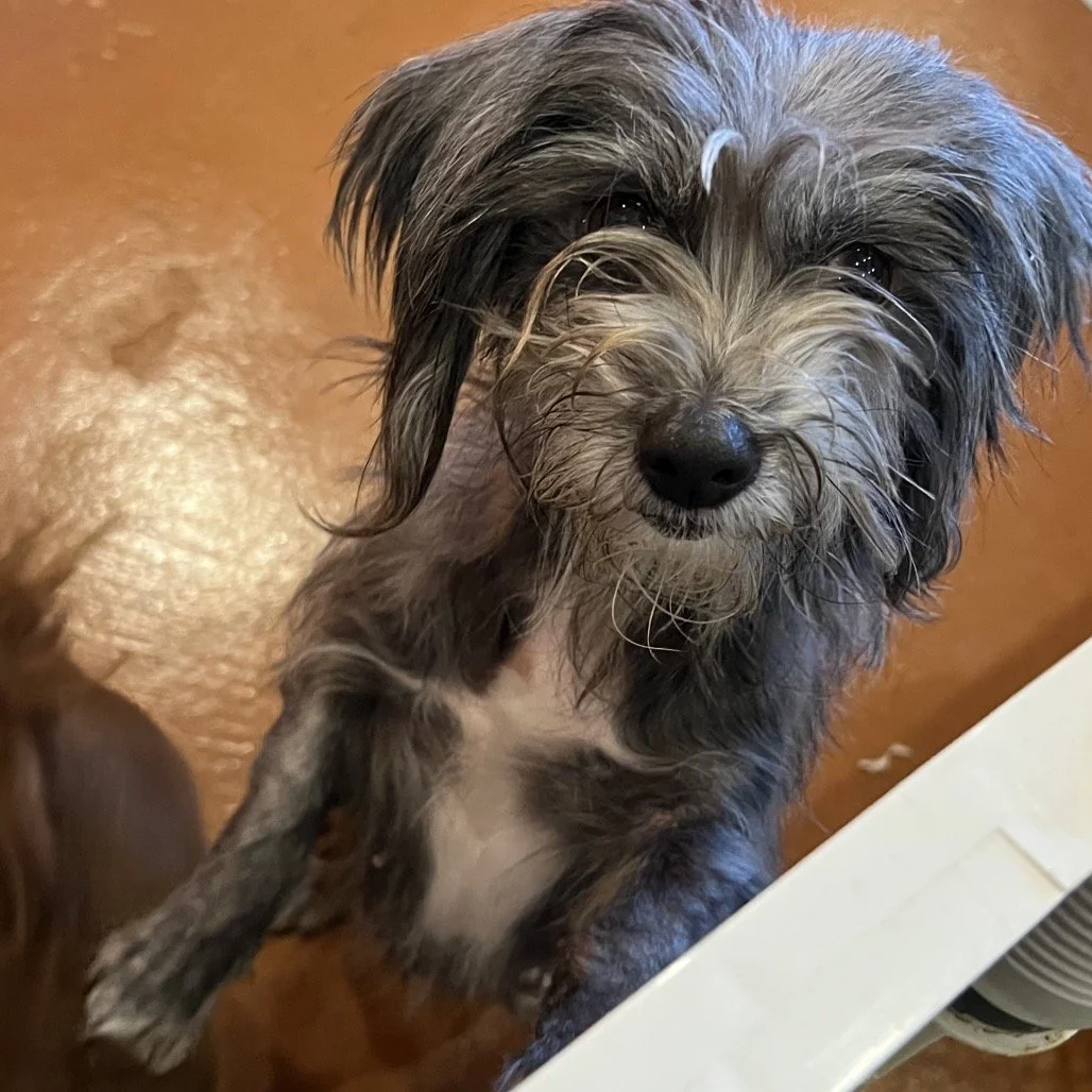 WINNIE