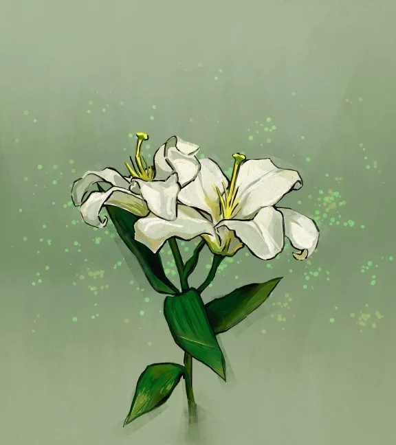 gallery168.jpg