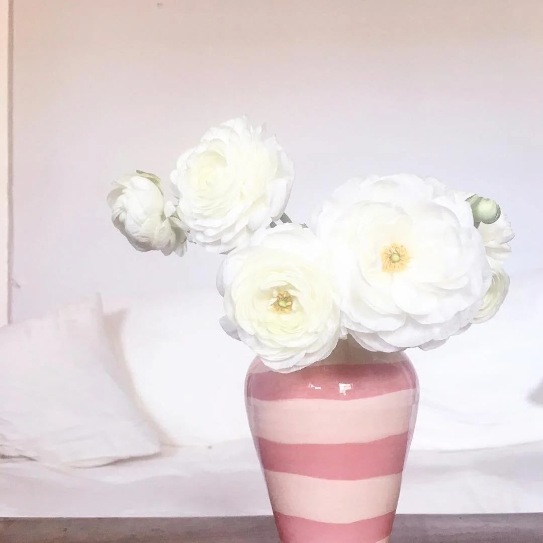 Last day of winter #ranunculus