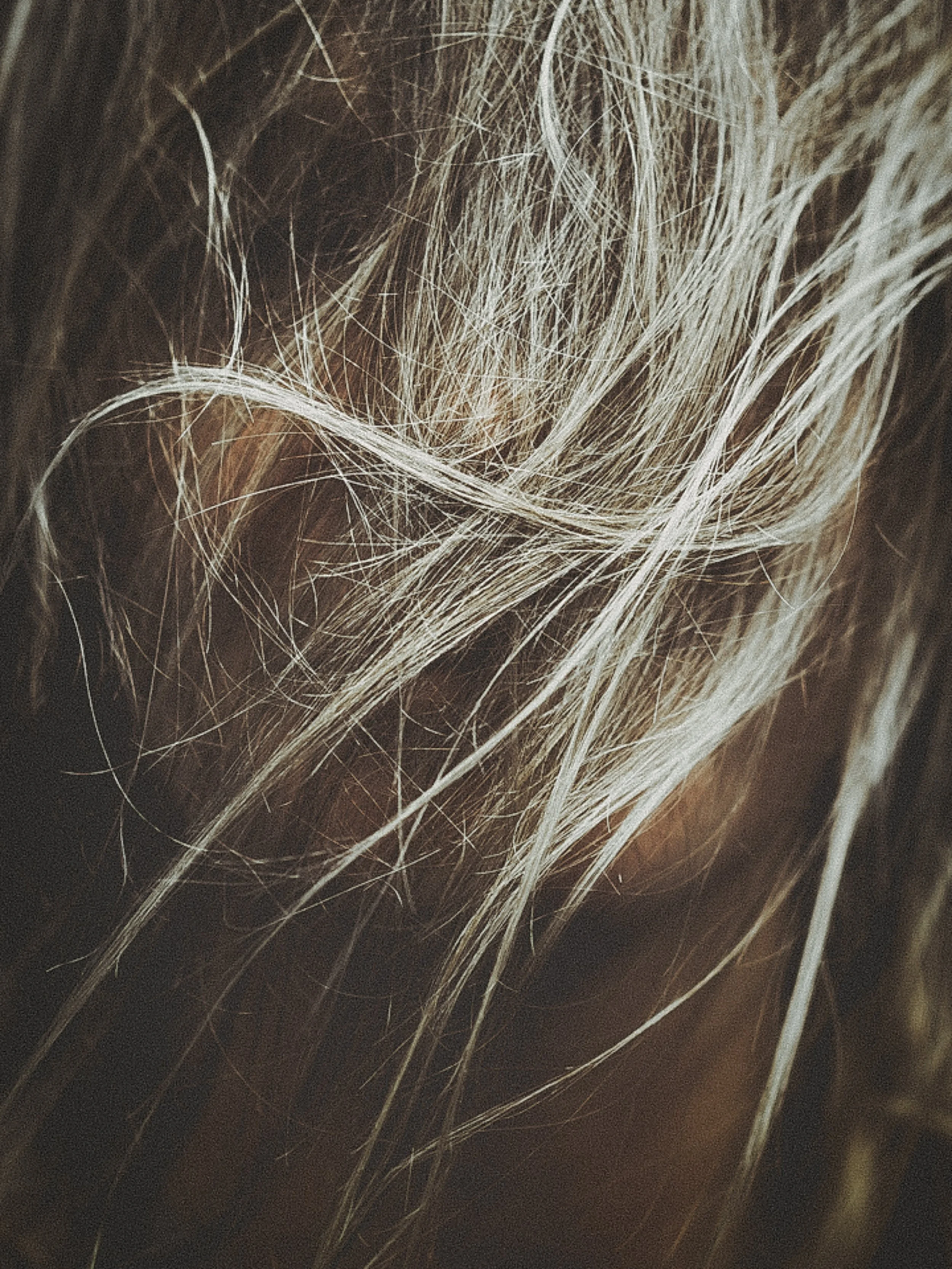 Close-up of blonde hair strands, showing fine and wispy texture.