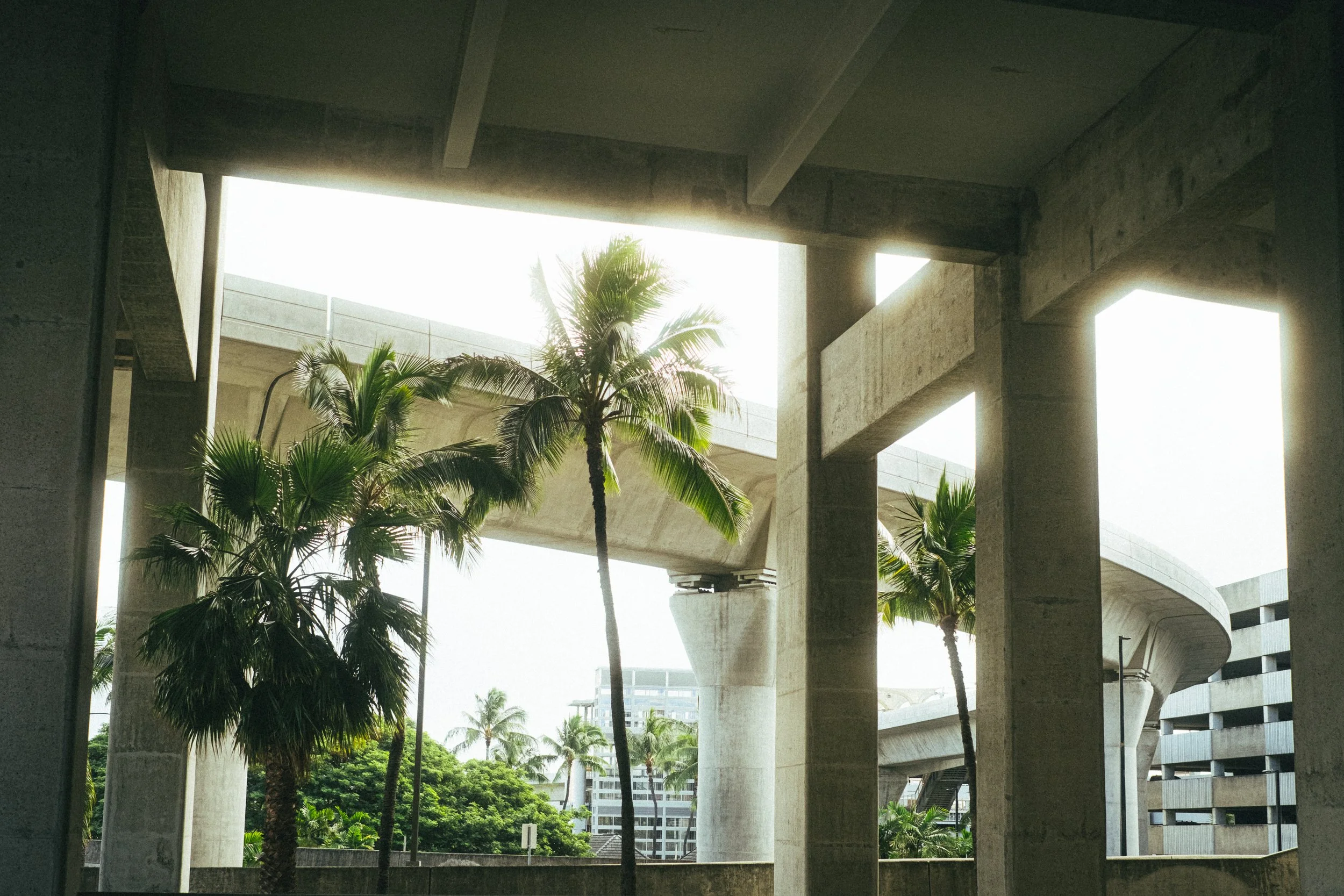 View of palm trees and modern concrete building structure with large openings and balcony in a sunny outdoor setting.