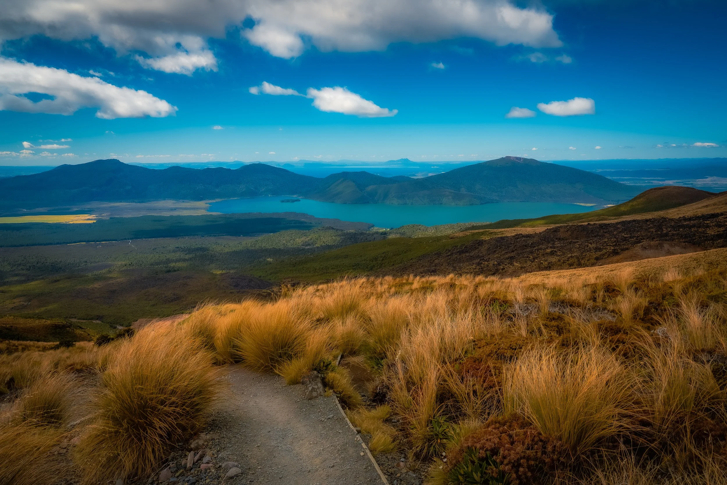 DSC04368-Edit-Edit.jpg